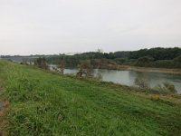 IMG (59)